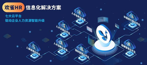 歡雀科技通過CMMI3認證，軟件研發(fā)能力獲國際權(quán)威機構(gòu)認可
